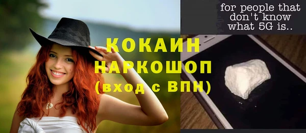 гашик Мегион
