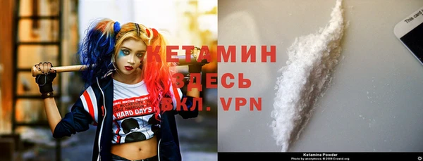 гашик Мегион