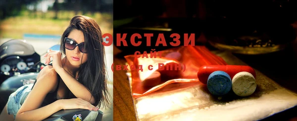 гашик Мегион
