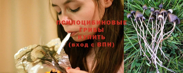 гашик Мегион