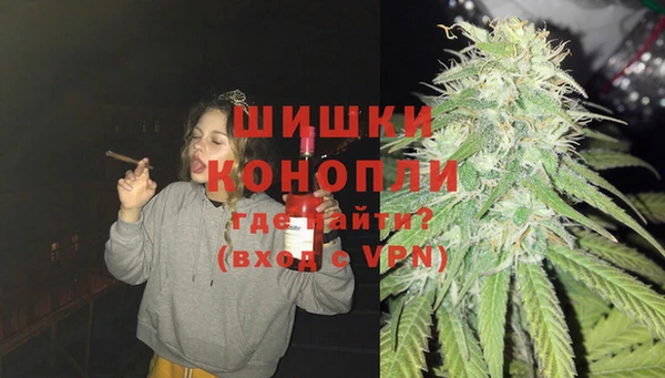 гашик Мегион