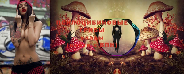 винт Медногорск