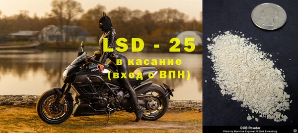 альфа пвп Медвежьегорск