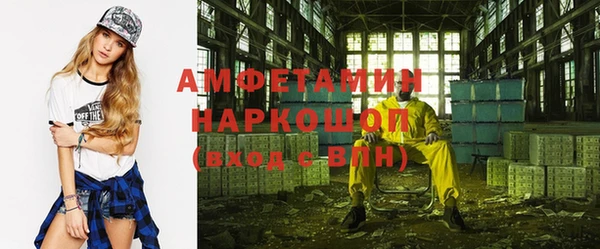 гашик Мегион