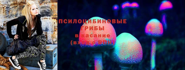 гашик Мегион